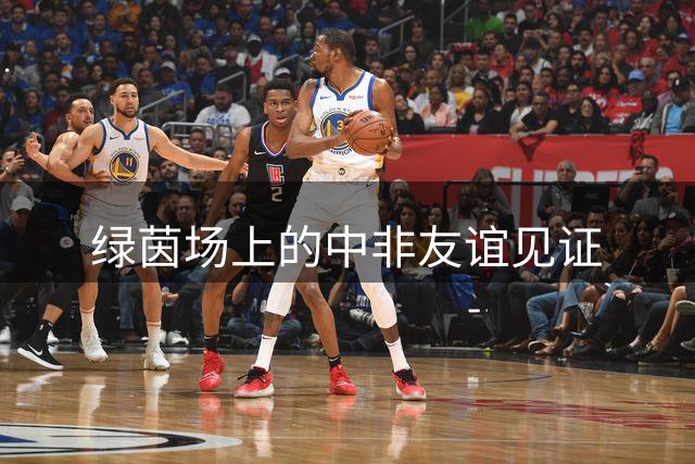 绿茵场上的中非友谊见证
